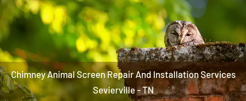  Chimney Animal Screen Repair And Installation Services Sevierville - TN