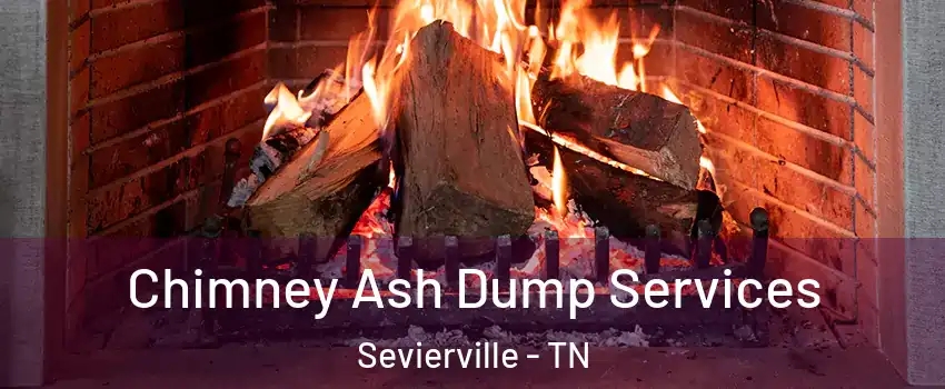  Chimney Ash Dump Services Sevierville - TN