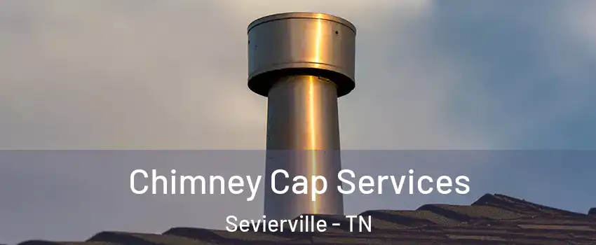  Chimney Cap Services Sevierville - TN