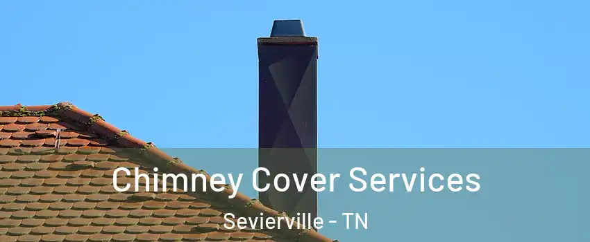  Chimney Cover Services Sevierville - TN