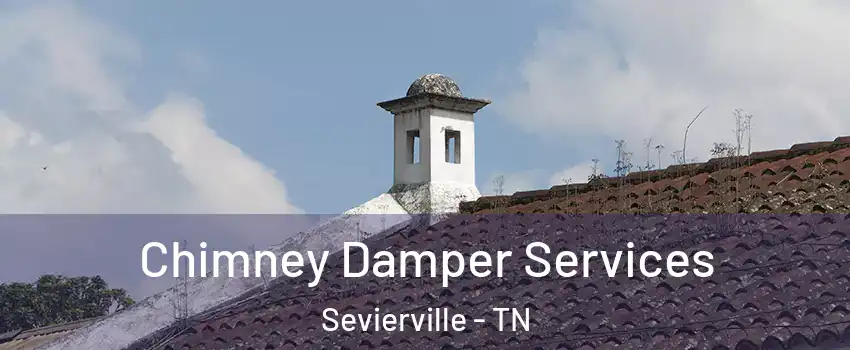  Chimney Damper Services Sevierville - TN