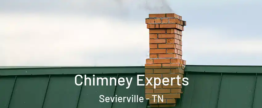 Chimney Experts Sevierville - TN