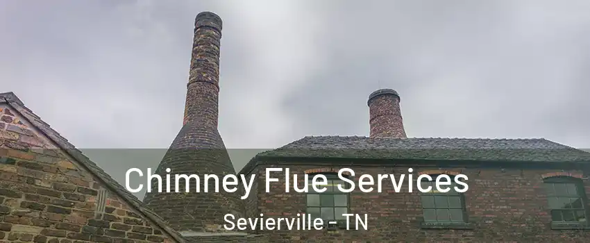  Chimney Flue Services Sevierville - TN