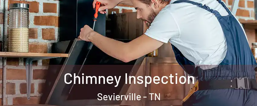  Chimney Inspection Sevierville - TN