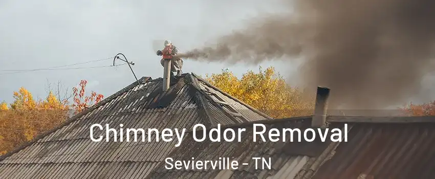  Chimney Odor Removal Sevierville - TN