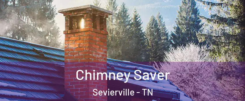  Chimney Saver Sevierville - TN