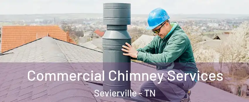  Commercial Chimney Services Sevierville - TN