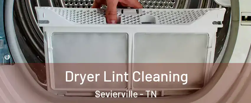  Dryer Lint Cleaning Sevierville - TN