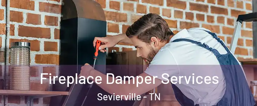  Fireplace Damper Services Sevierville - TN