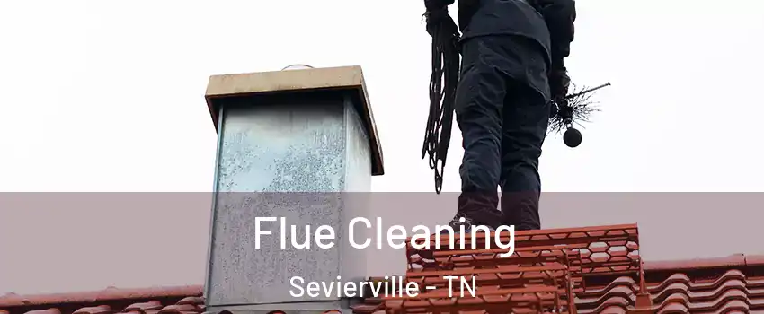  Flue Cleaning Sevierville - TN