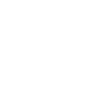 Professional Chimney Flue Installation in Sevierville, Tennessee