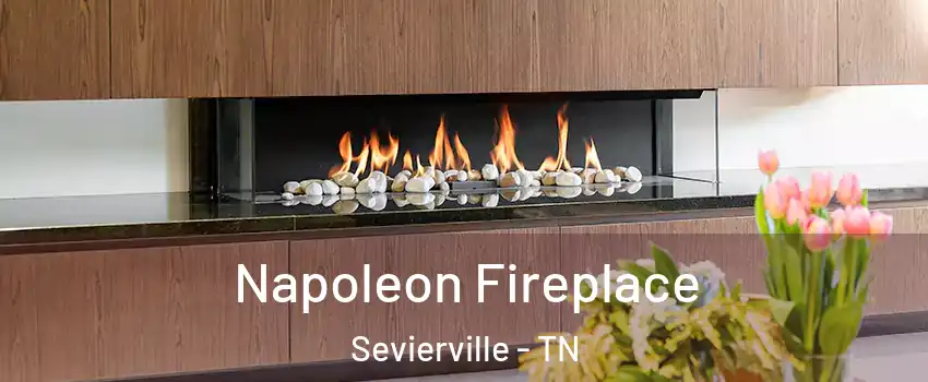 Napoleon Fireplace Sevierville - TN
