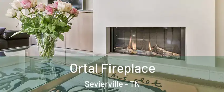  Ortal Fireplace Sevierville - TN